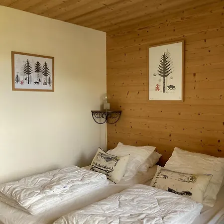 Bel Espace Proche Des Pistes Апартаменты *